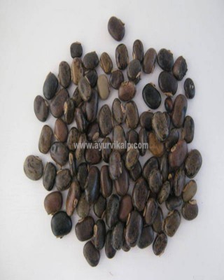 BLACK KAUNCH SEEDS, Velvet Bean, Mucuna Pruriens, Raw Whole Herbs of India